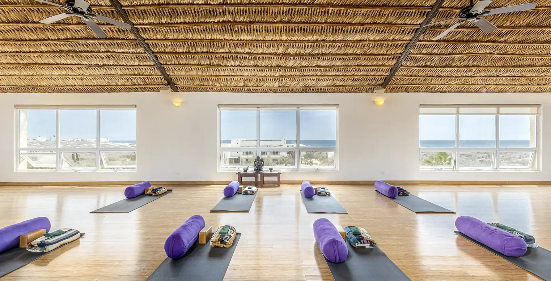 Prana Del Mar ocean view